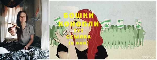 дурь Лагань