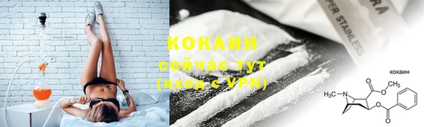 МДПВ Лиски