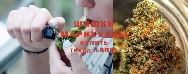 МДПВ Лиски